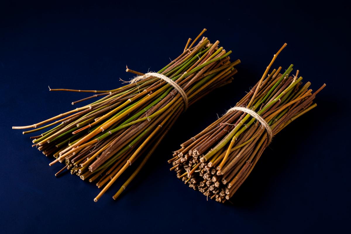 Grass — botanical ingredients supplied and exported by Mauryansh Impex